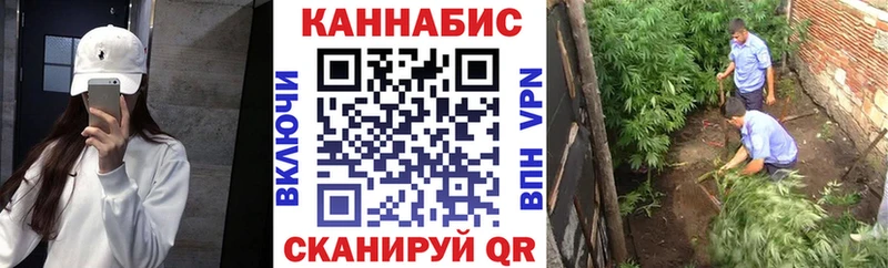 Псилоцибиновые грибы Нытва