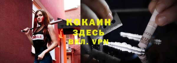 ешки Алексин
