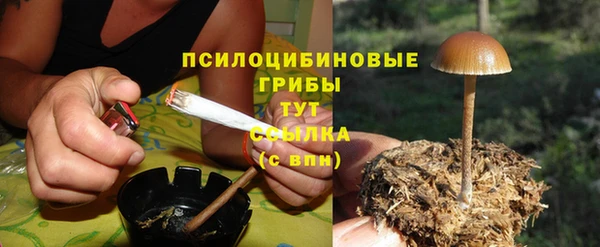прущая мука Алзамай